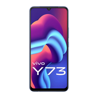 vivo Y73